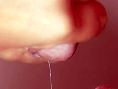 Hey, check out this wild Japanese blowjob close-up that's like a total porn story unfolding right there