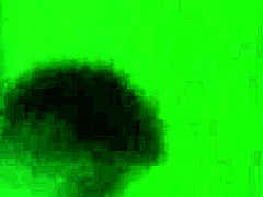 Horny Latina Enjoys Passionate Pussy Licking In Intimate Couple Session