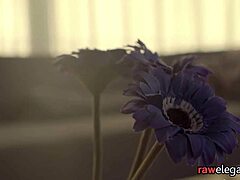 hey, this beautiful maid is getting bent over for some classy interracial anal in pov, so hot! 😏