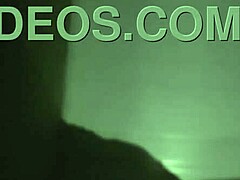 Subtle Allure Of Roludo Engaging With Adventurous Companion