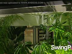 Two Hot Swinger Babes In Black Lace Engage In Wild Softcore Orgy Fucking