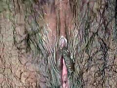 Desi Close-Up Hairy Pussy