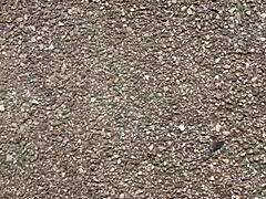 grimy soles after a long day