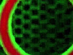 mexican spinner sheri rides rome majors' huge cock to wet orgasm