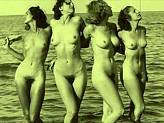 vintage hairy beavers nude in nature retro wild