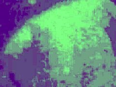 hot wife tries cock and moans loud like a pro