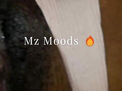 lingua na buceta da gostosa mz moods pussy licking cunilingus amateurs tongue muff diving 😋👅