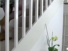 busty mature blonde lacey starr takes rough doggystyle pounding and blowjob