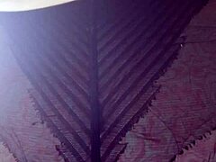 i'm losing it over elza's nylon tights ass worship and panty sniff fetish in lingerie... ughh